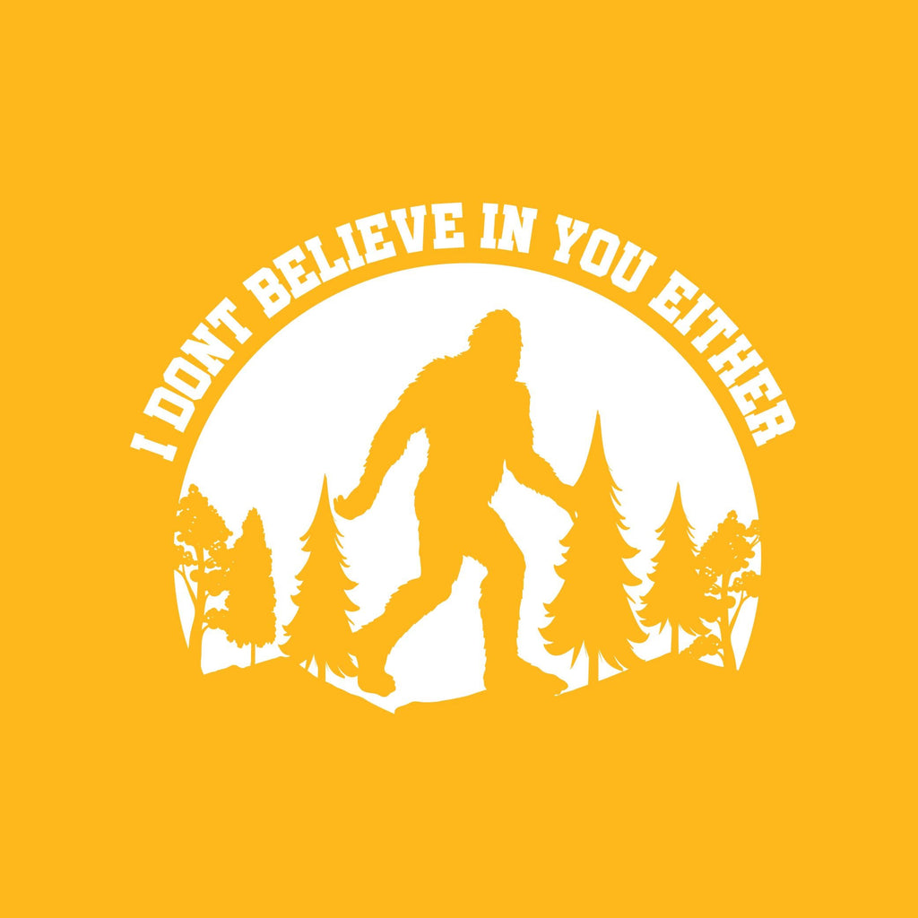 I Donâ€™t Believe in You Either Tee product image 2
