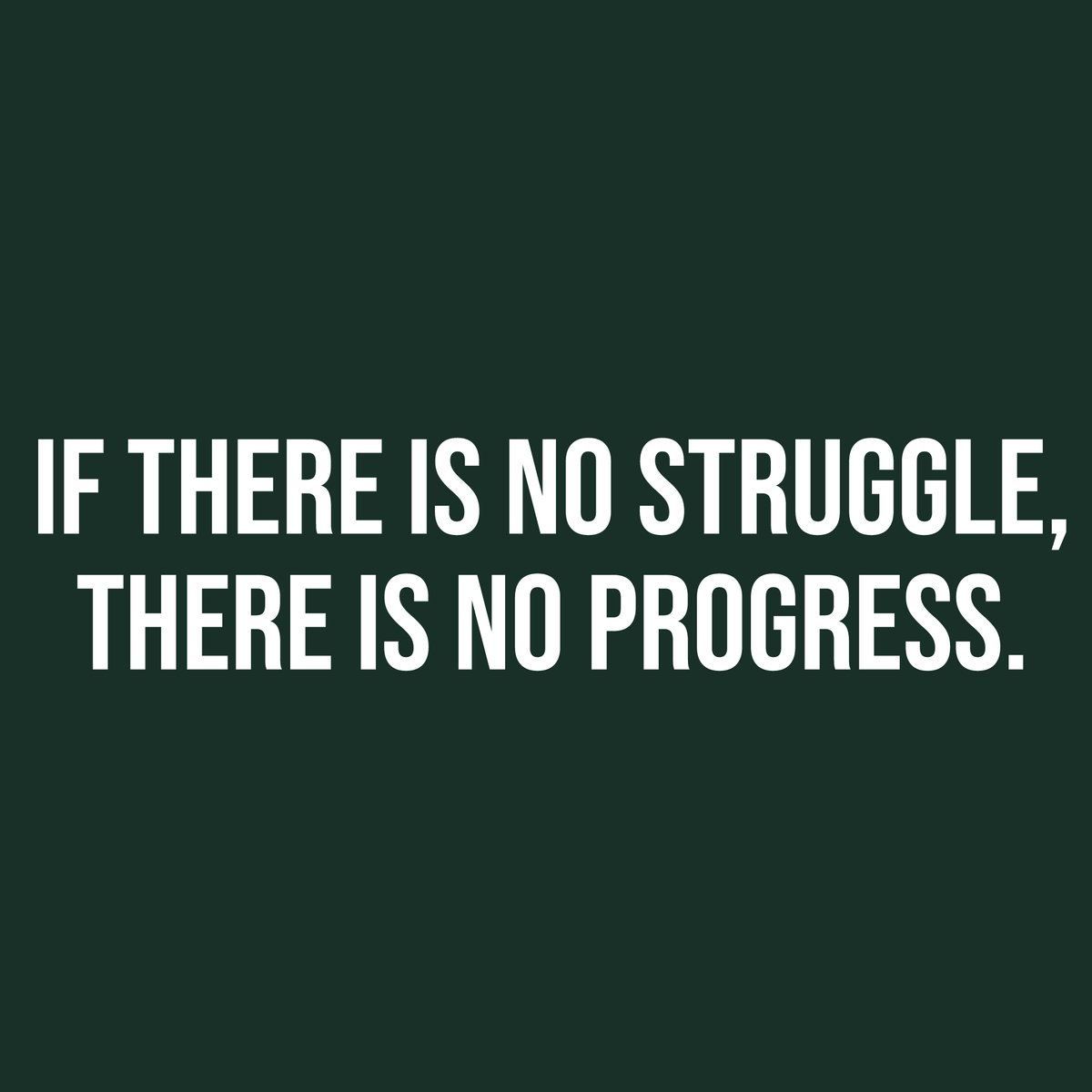 If there is No Struggle, is No Progress T Shirt Tee product image 2