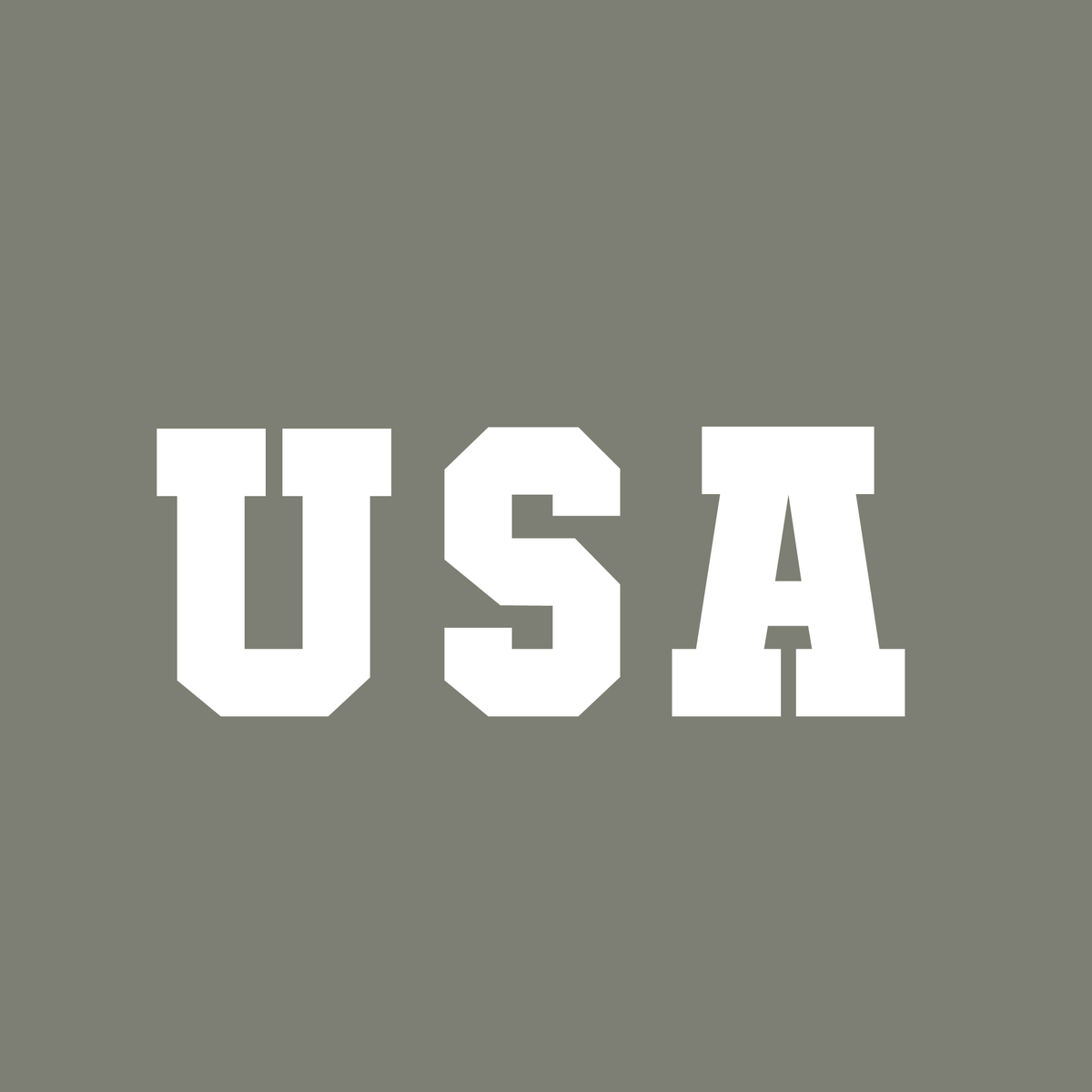 U S A T Shirt product image 2
