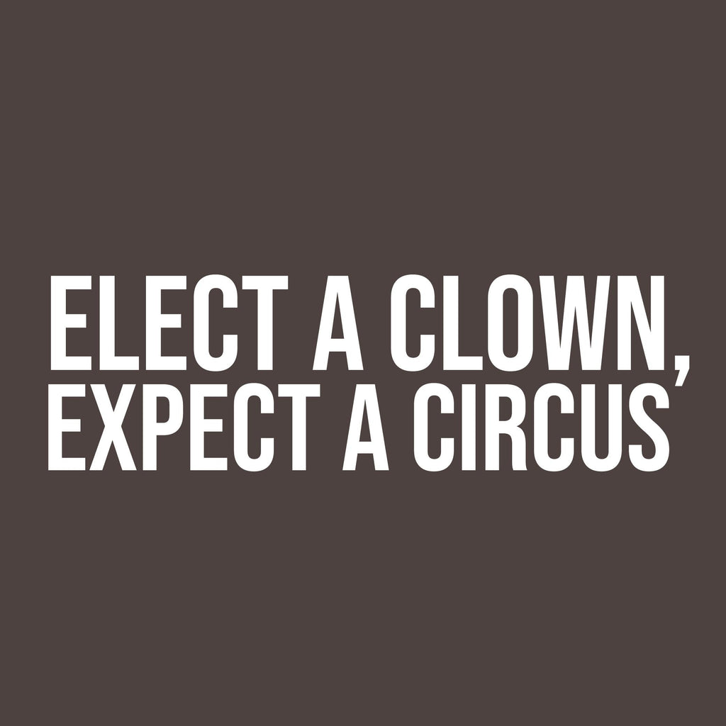 Elect a Clown, Expect a Circus t Shirt product image 2