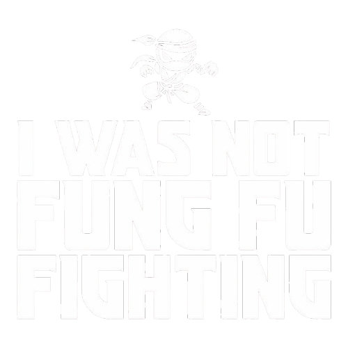I Was Not Kung Foo Fighting T-Shirt product image 2