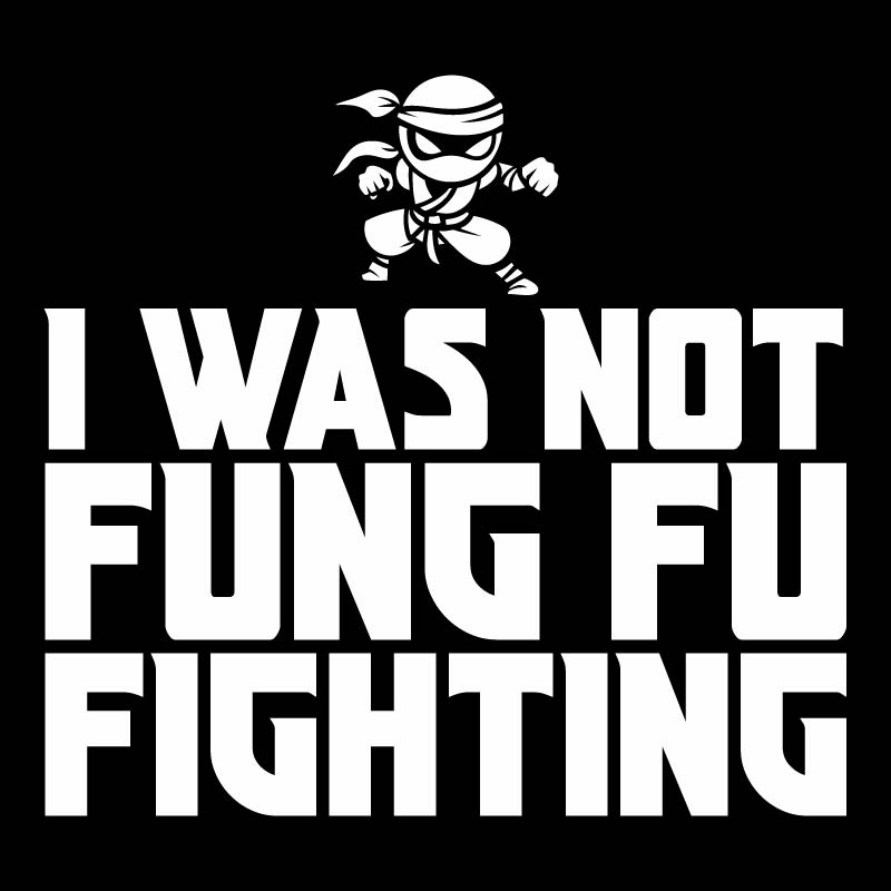 I Was Not Kung Foo Fighting T-Shirt product image 2