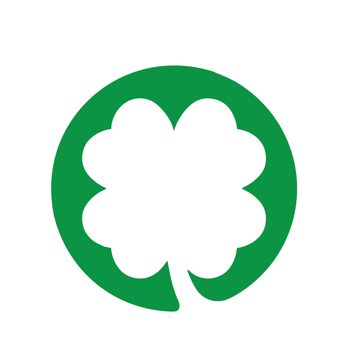 You Need Some Irish In T Shirt product image 3