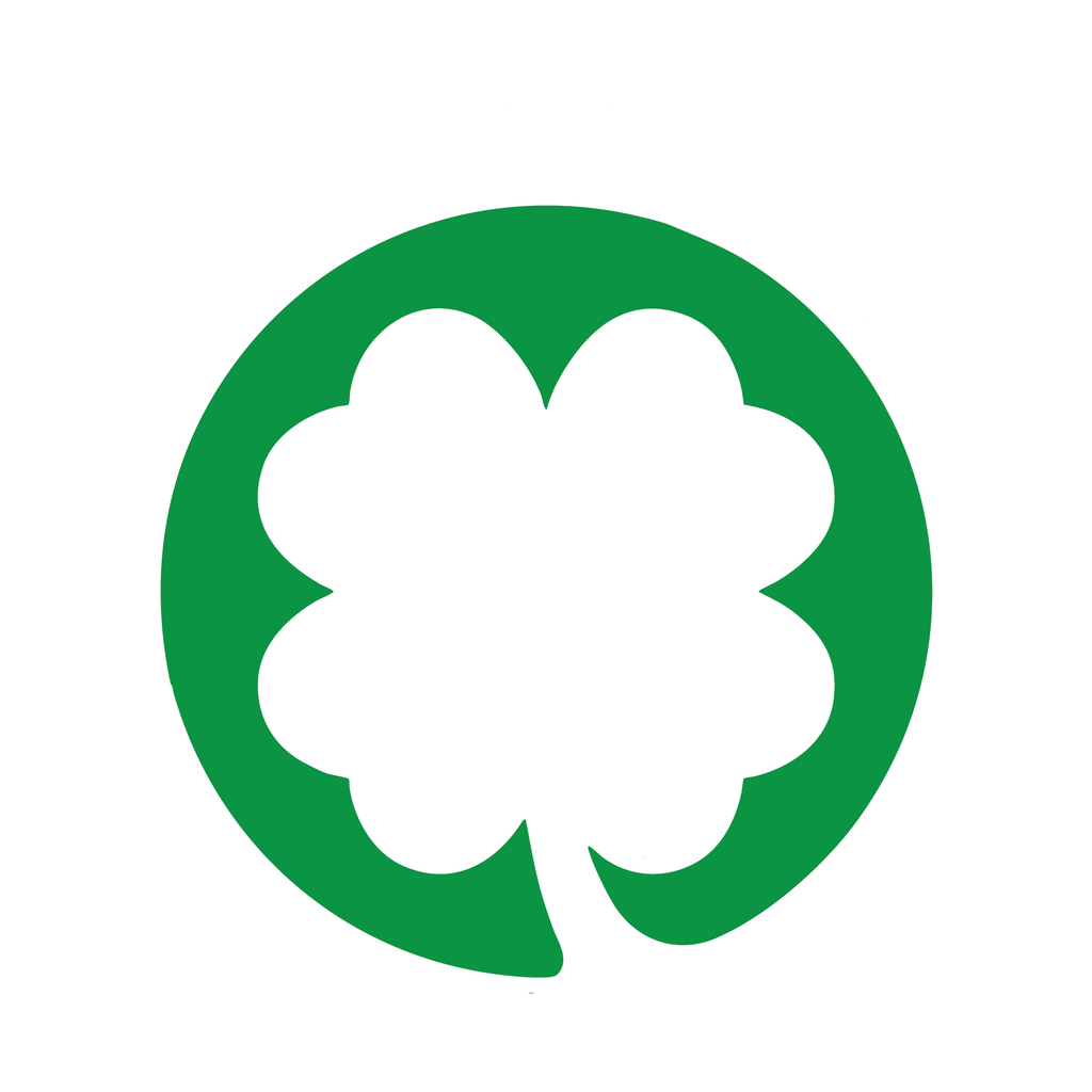 You Need Some Irish In T Shirt product image 2