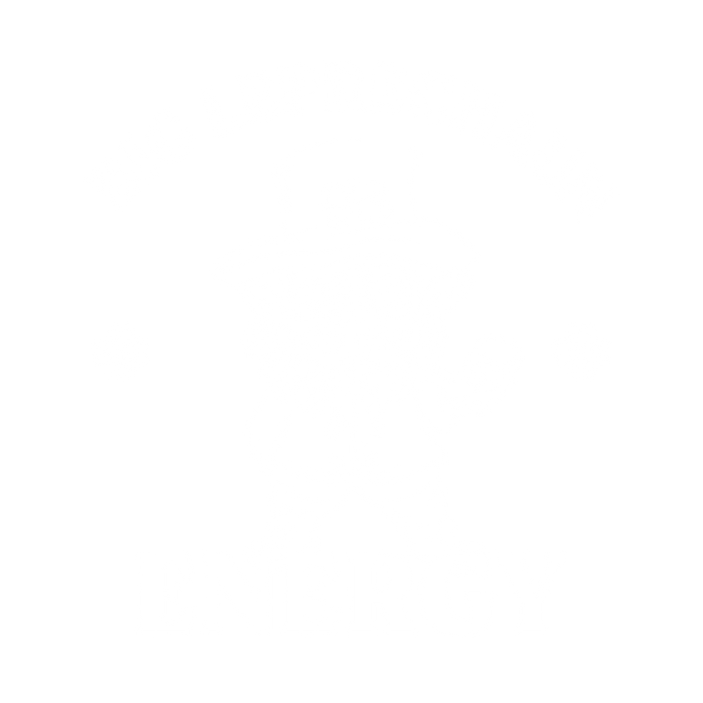 Big Leprechaun Energy T-Shirt product image 2