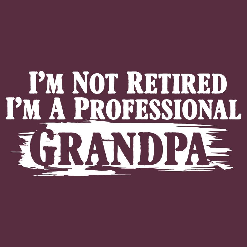 I'm Not Retired I'm a Professional Grandpa Funny Tee product image 2