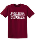 I'm Not Retired I'm a Professional Grandpa Funny Tee product image 1