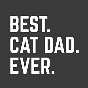 Best Cat Dad Ever T-Shirt product image 3