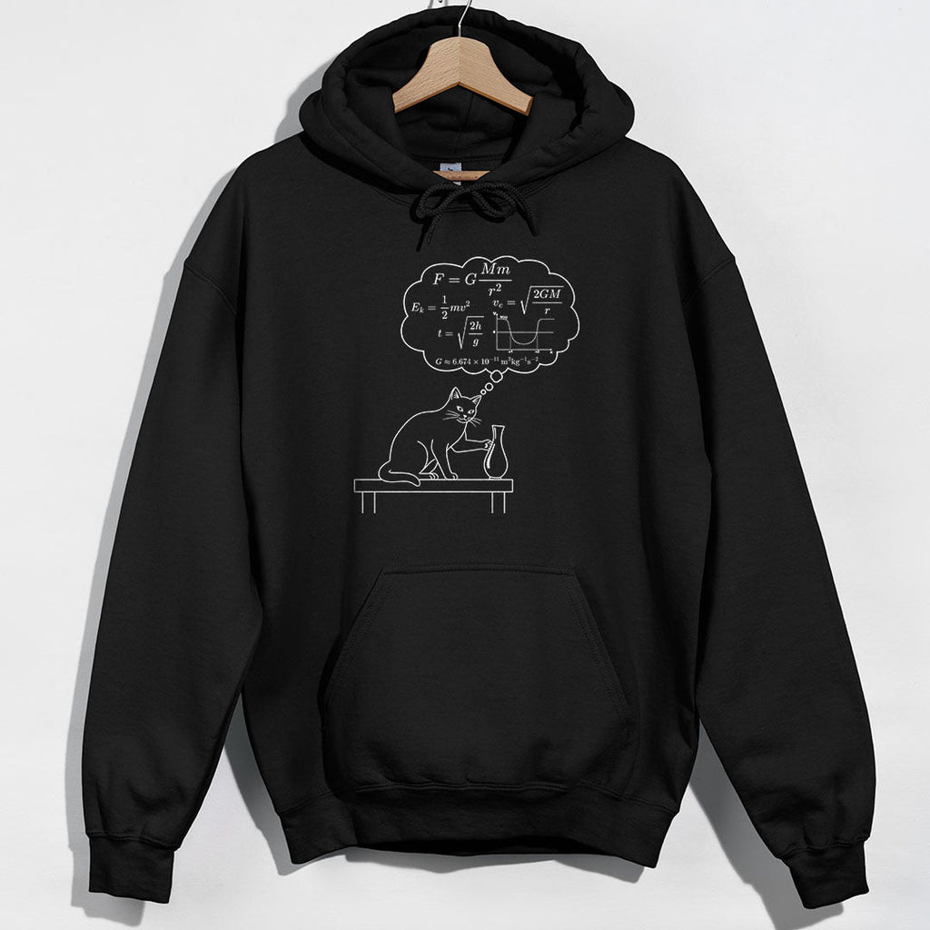 Physics Cat Gravity Equations Hoodie product image 1