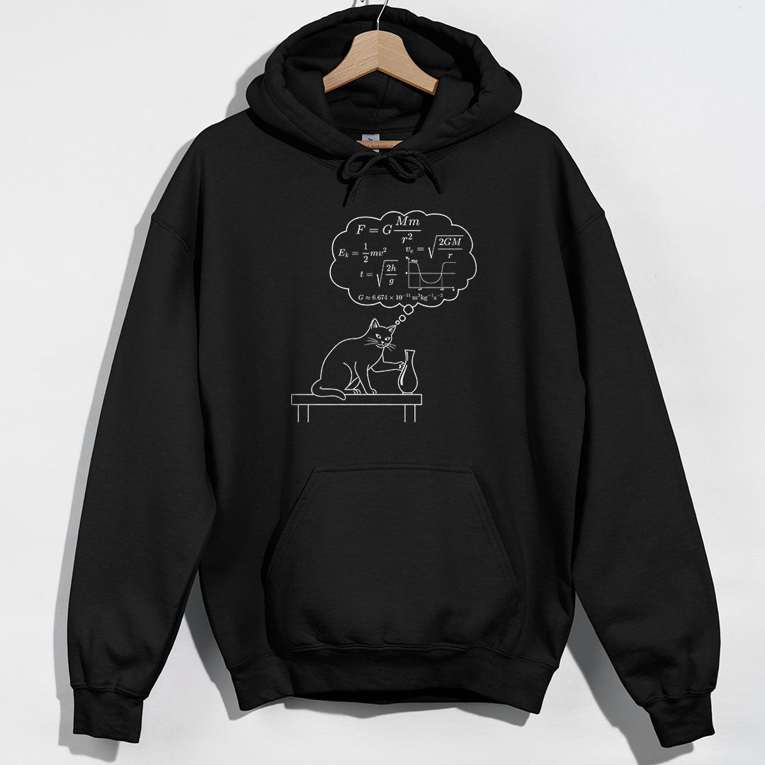 Physics Cat Gravity Equations Hoodie product image 1