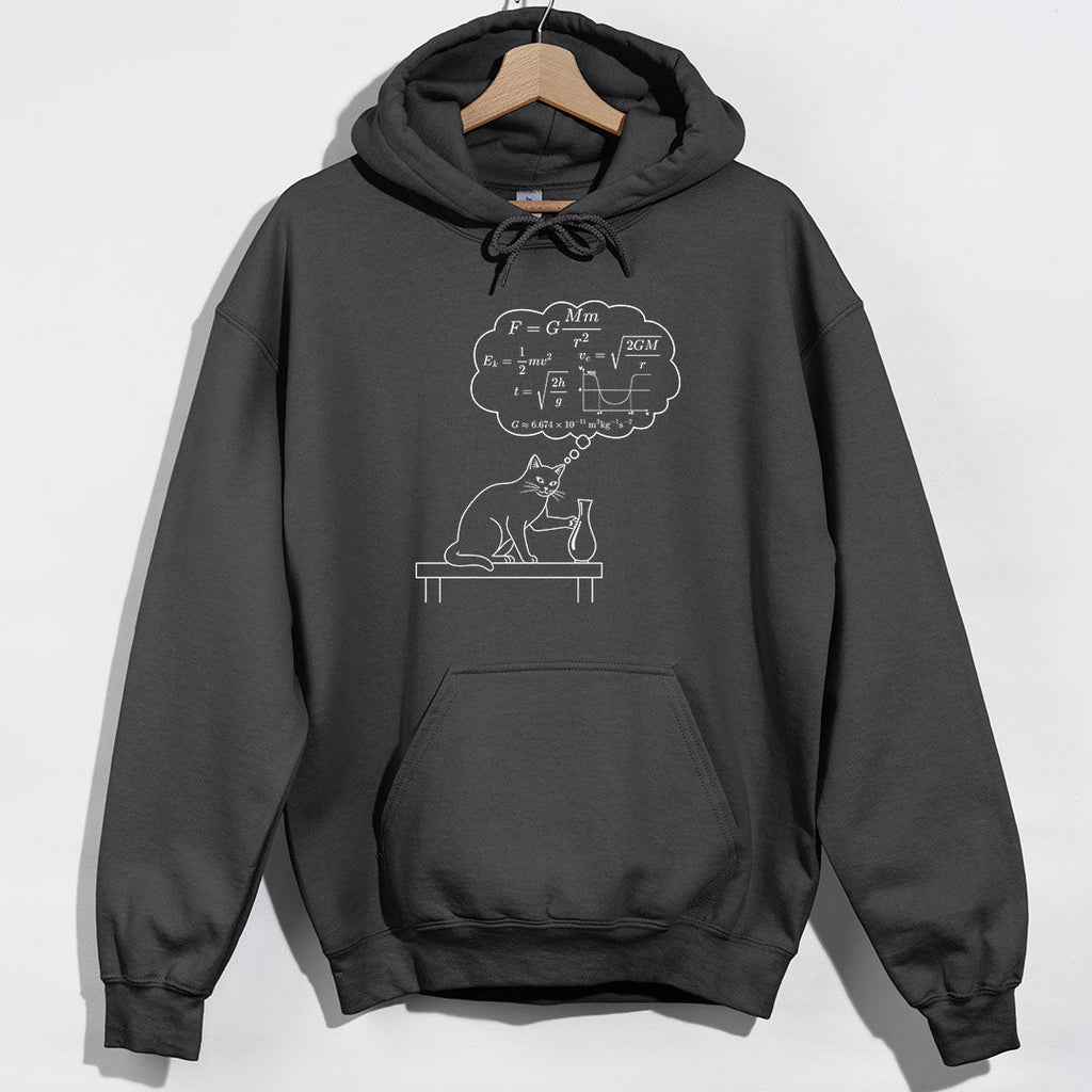 Physics Cat Gravity Equations Hoodie product image 4
