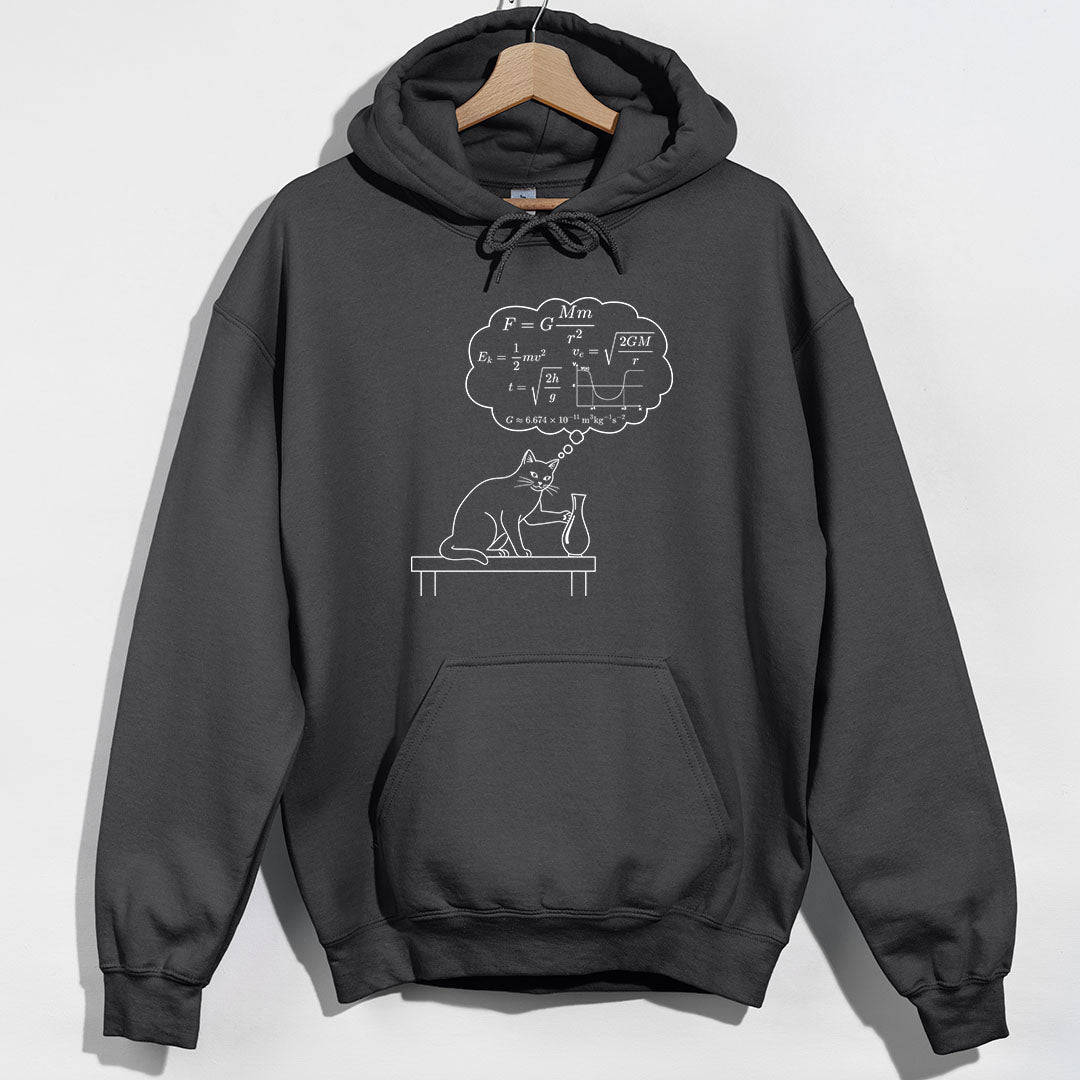 Physics Cat Gravity Equations Hoodie product image 4