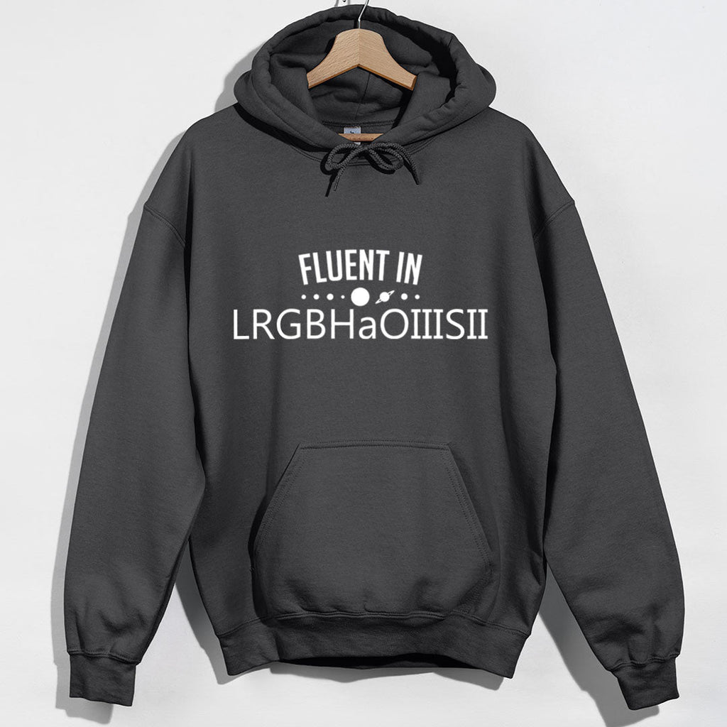 Fluent in LRGBHaOIIISII Hoodie product image 7