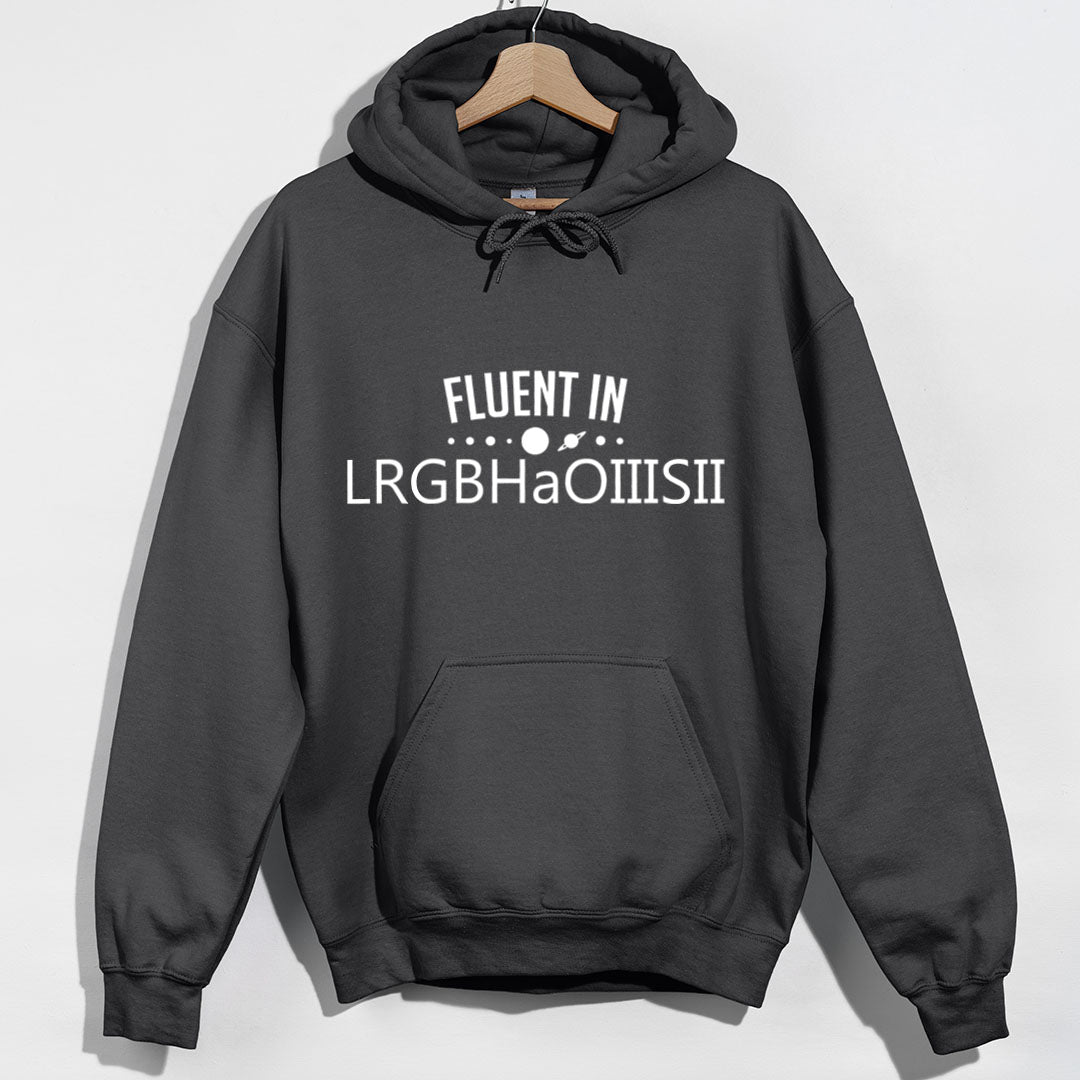 Fluent in LRGBHaOIIISII Hoodie product image 7