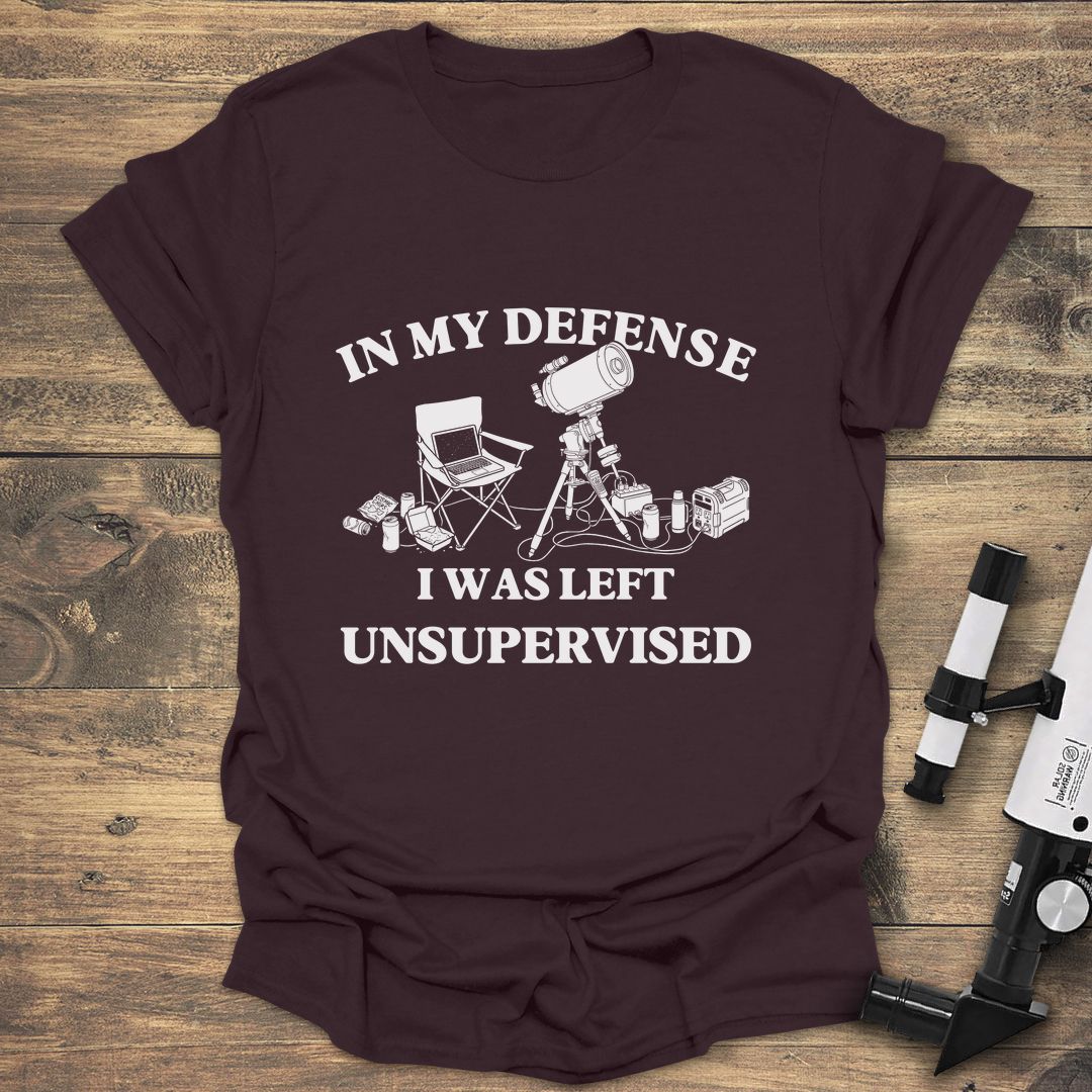 In My Defense I Was Left Unsupervised product image 2