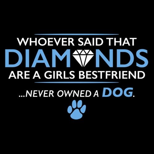 Whoever Said That Diamonds Are A Girls Best Friend Never product image 2