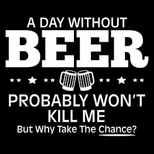 A Day Without Beer Probably Won't Kill Me T-Shirt product image 3