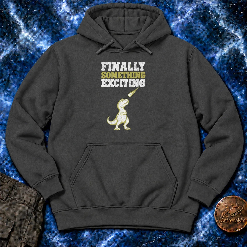 Finally Something Exciting Hoodie product image 2