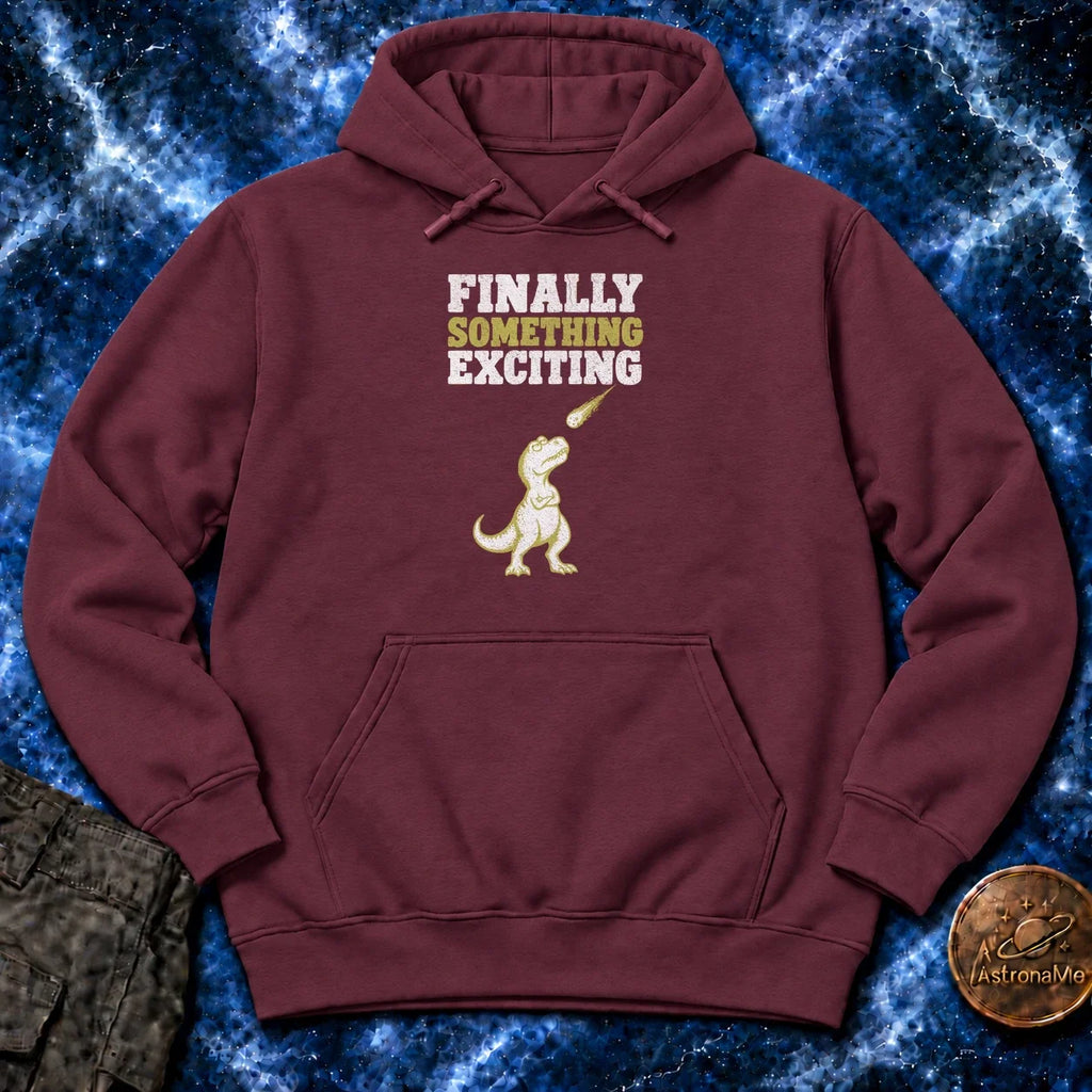 Finally Something Exciting Hoodie product image 3