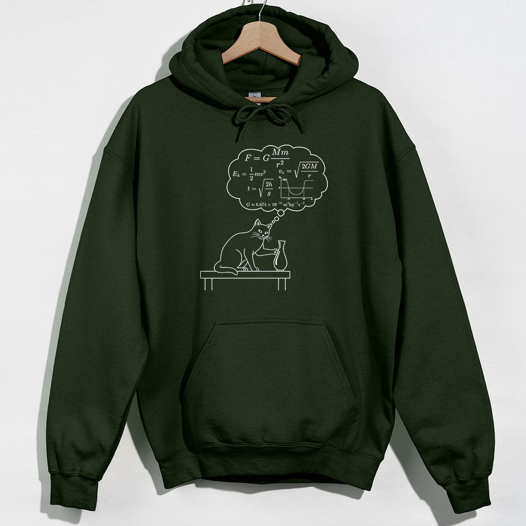 Physics Cat Gravity Equations Hoodie product image 3