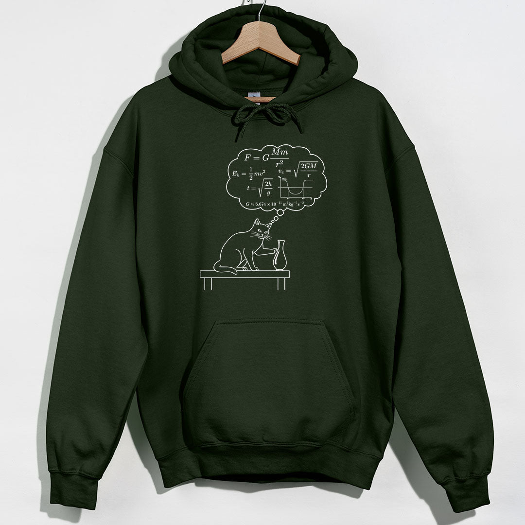 Physics Cat Gravity Equations Hoodie product image 3