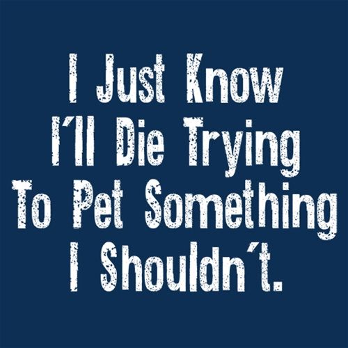 I Just Know I'll Die Trying To Pet Something I Shouldn't product image 2