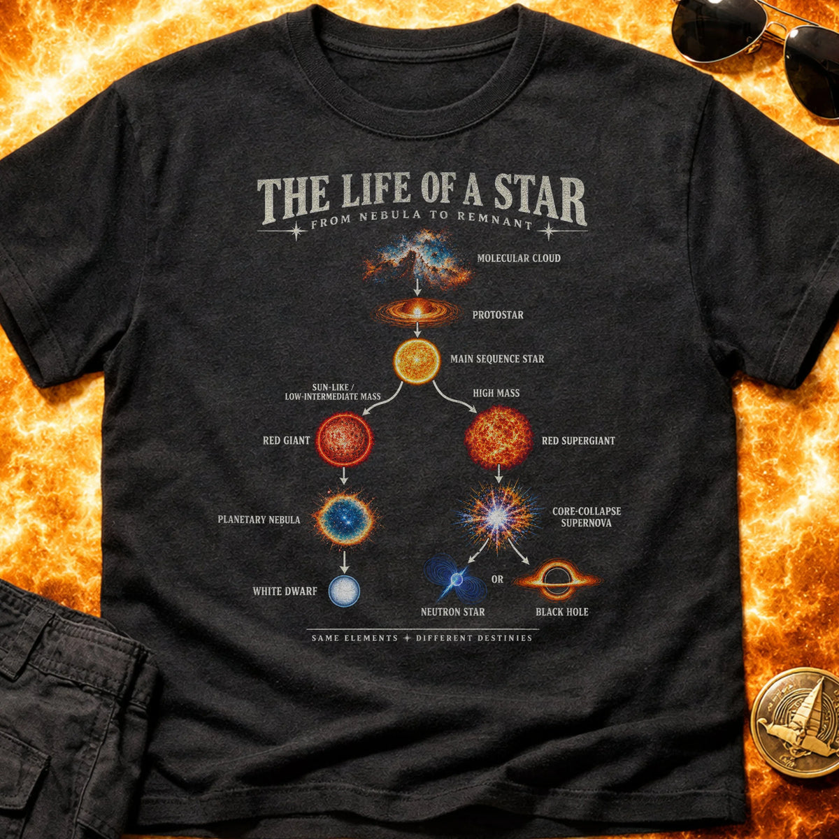 Life of a Star Infographic T-Shirt product image 2