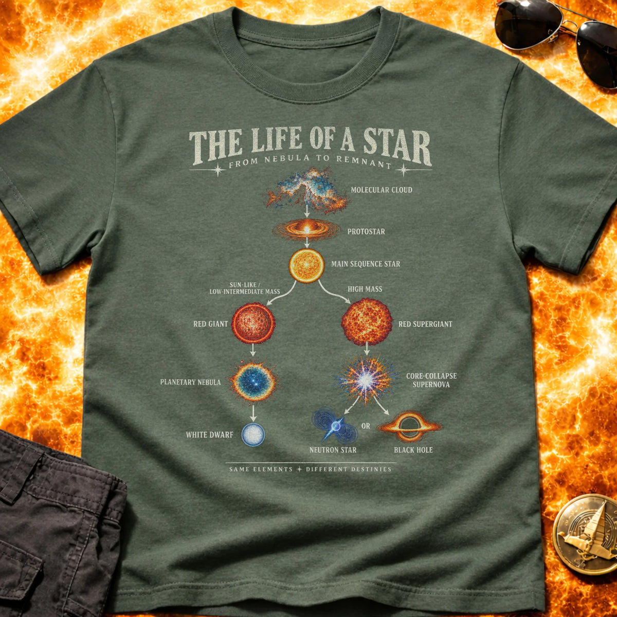 Life of a Star Infographic T-Shirt product image 6