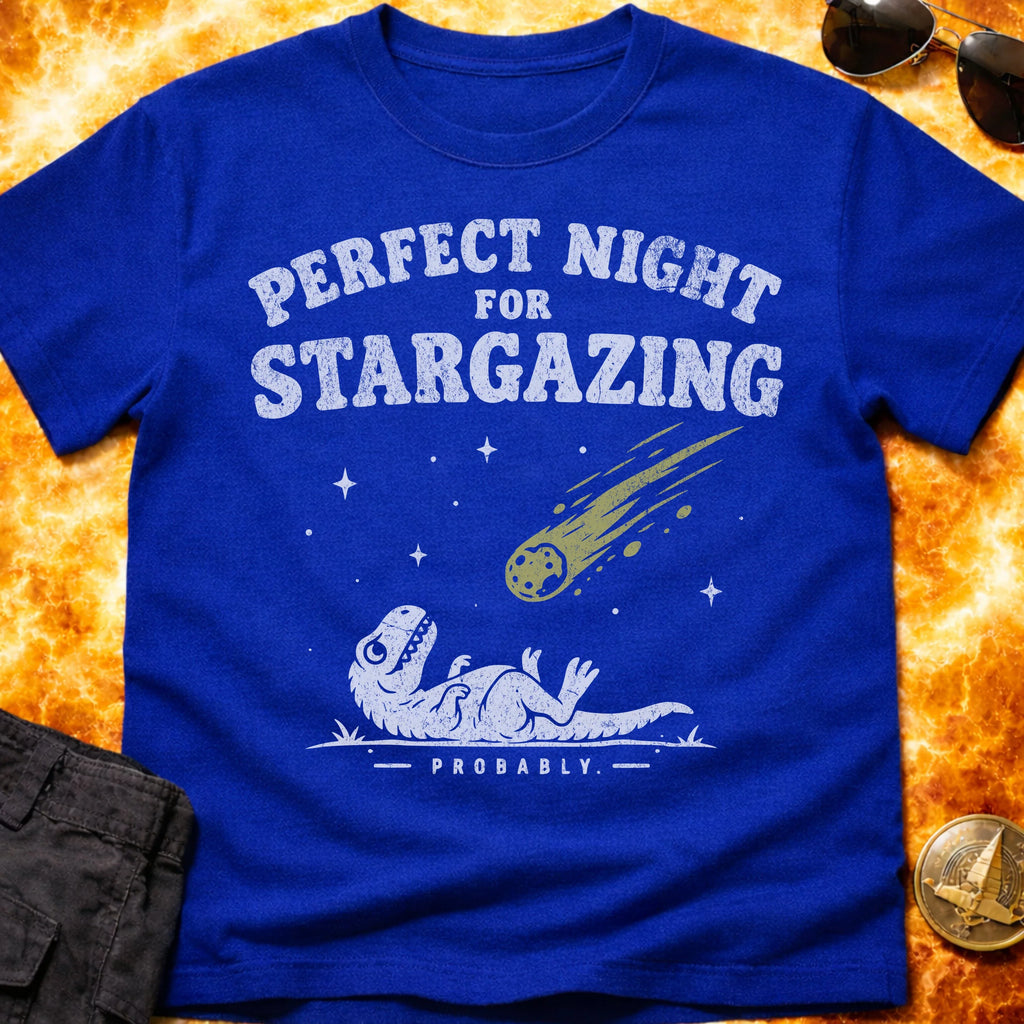 Perfect Night For Stargazing T-Shirt product image 3
