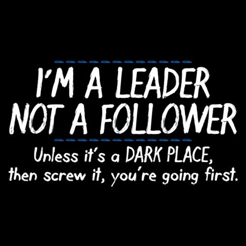 I'm A Leader Not A Follower Unless It's A Dark Place Then product image 3