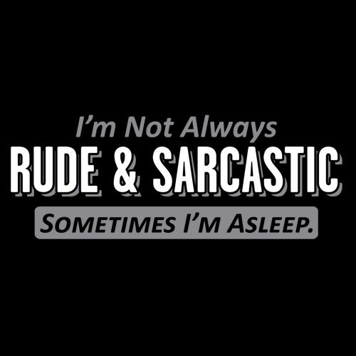 I'm Not Always Rude & Sarcastic Sometimes I'm Asleep. product image 2