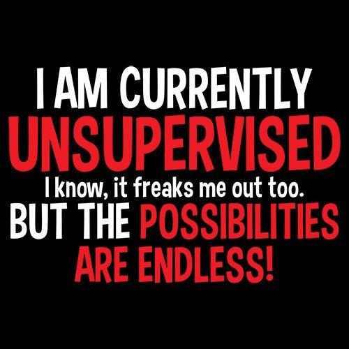 I Am Currently Unsupervised I know, It Freaks Me Out Too product image 2