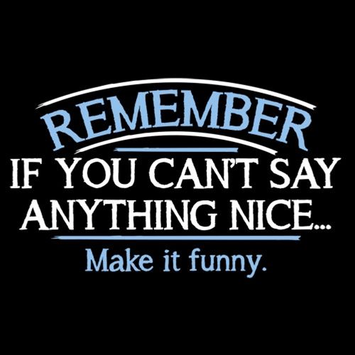 Remember, If You Can't Say Anything Nice Make It Funny product image 3