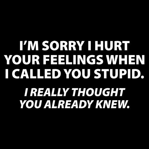 Sorry I Called You Stupid I Thought Already Knew T-Shirt product image 2