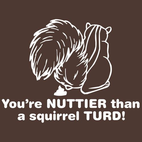 You're Nuttier Than A Squirrel Turd T-Shirt product image 1