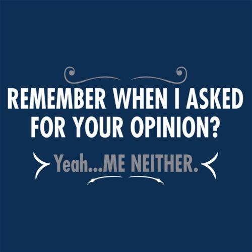 Remember When I Asked For Your Opinion? Yeah...Me Neither product image 2