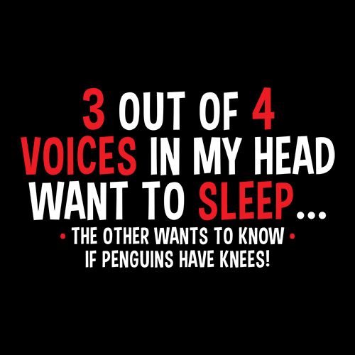 3 Out Of 4 Voices In My Head Want To Sleep The Other Wants product image 2
