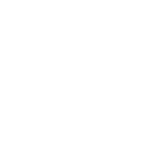 I Rule T-Shirt product image 2