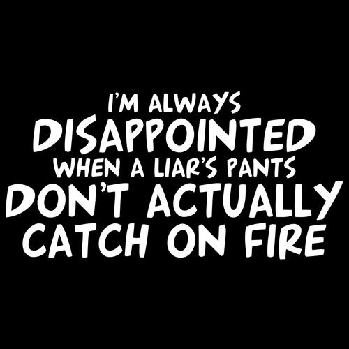 I'm Disappointed When a Liar's Pants Don't Catch On Fire product image 2