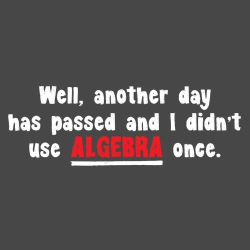 Well Another Day Has Passed And I Didn't Use Algebra Once product image 2