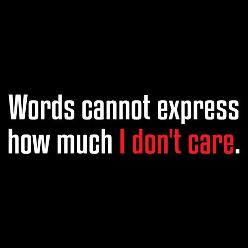 Words Cannot Express How Much I Don't Care T-Shirt product image 3