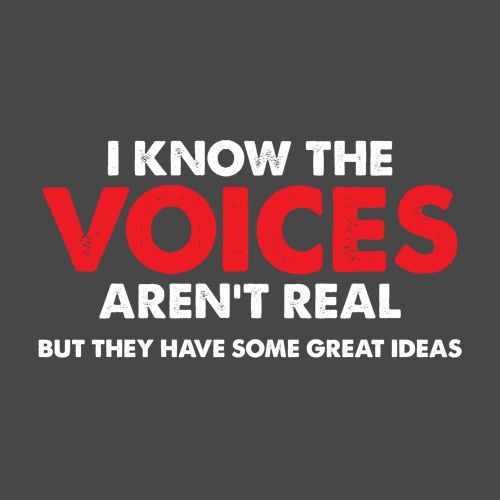 The Voices In My Head Have Great Ideas T-Shirt product image 1
