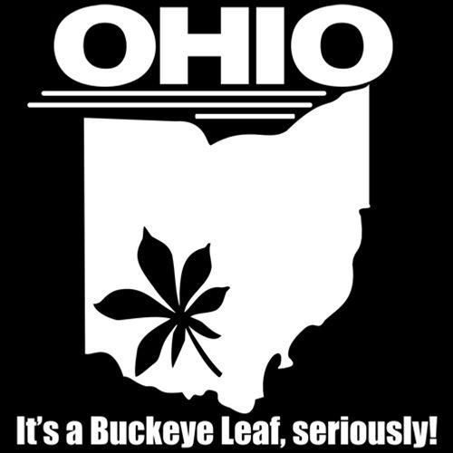 Ohio It's A Buckeye Leaf Seriously T-Shirt product image 2