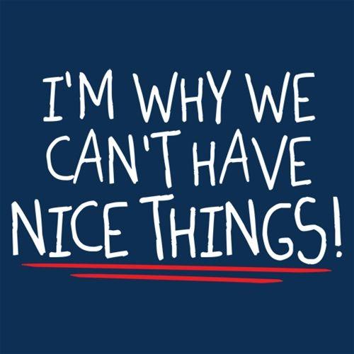 I'm Why We Can't Have Nice Things T-Shirt product image 2