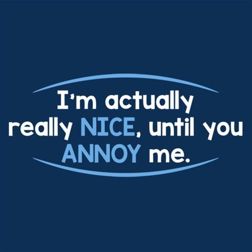 I'm Actually Really Nice, Until You Annoy Me T-Shirt product image 2