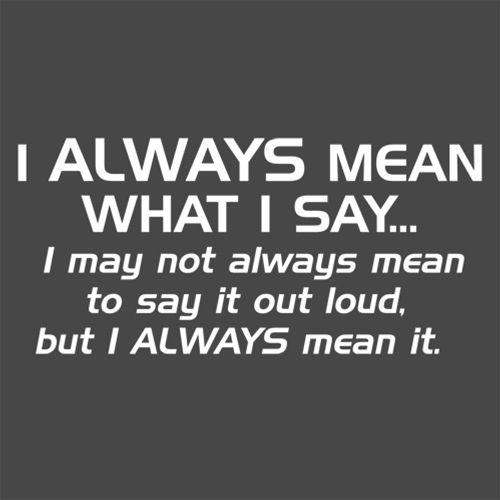 I Always Mean What I Say...I May Not To Say It Out Loud product image 2