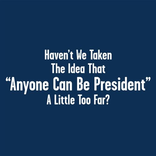 Aren't We Taking The Idea That Anyone Can Be President A product image 2
