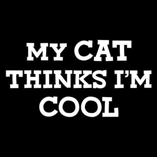 My Cat Thinks I'm Cool T-Shirt product image 2