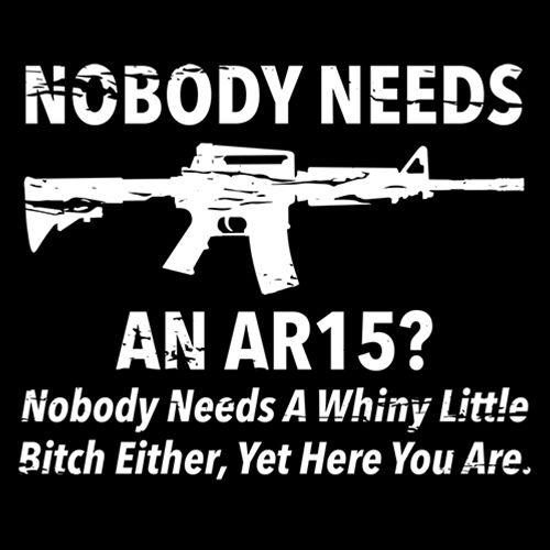 NoBody Needs An AR15? A Whiny Little Bitch Either, Yet Here product image 3