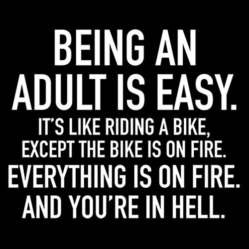 Adult Is Easy Like Riding Bike Except The On Fire product image 3
